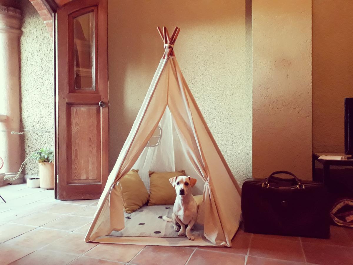 Lool Beh Hostal San Miguel de Allende Kültér fotó